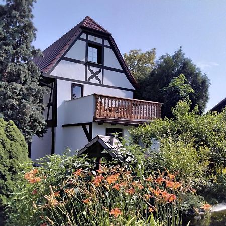 Pusteblume Apartment Groitzsch Екстериор снимка