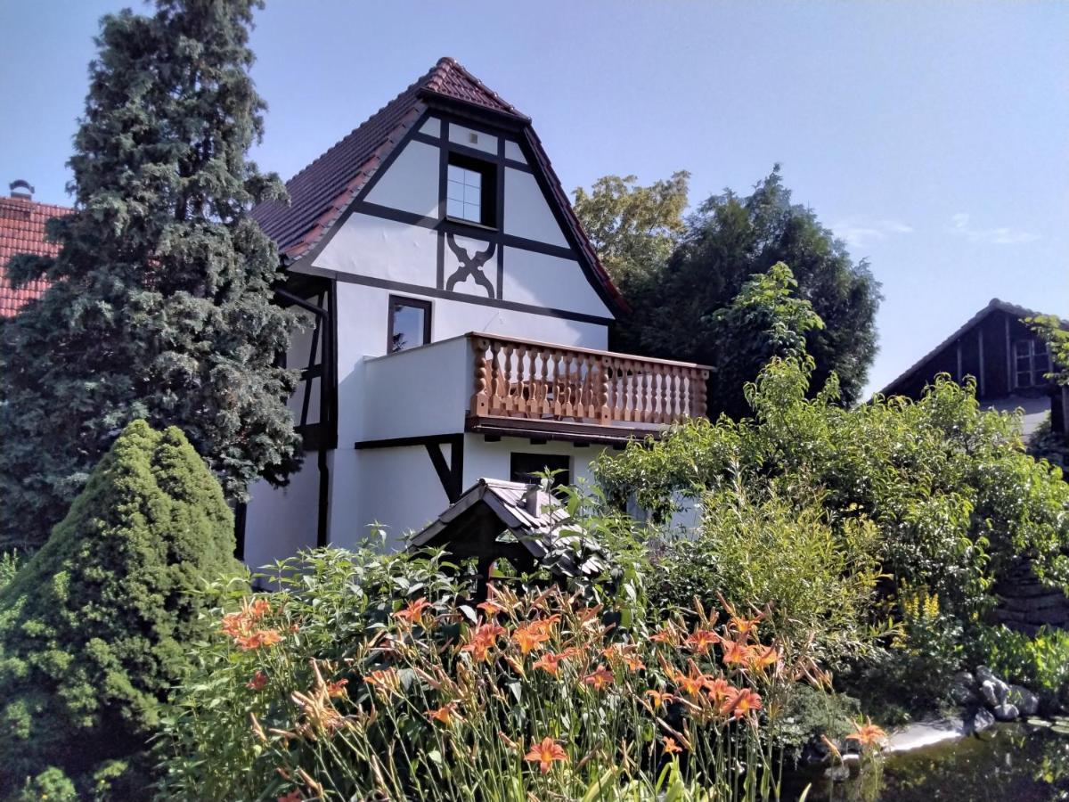 Pusteblume Apartment Groitzsch Екстериор снимка