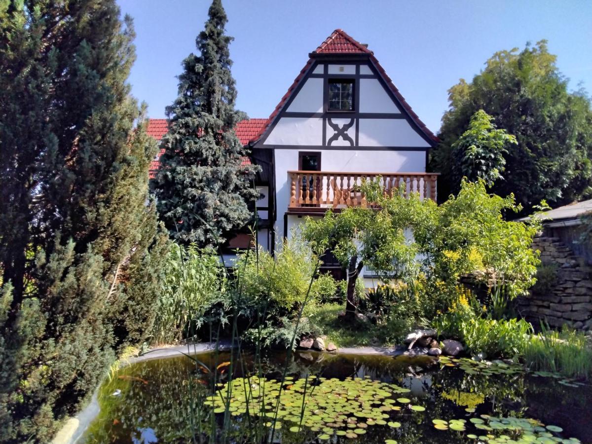 Pusteblume Apartment Groitzsch Екстериор снимка