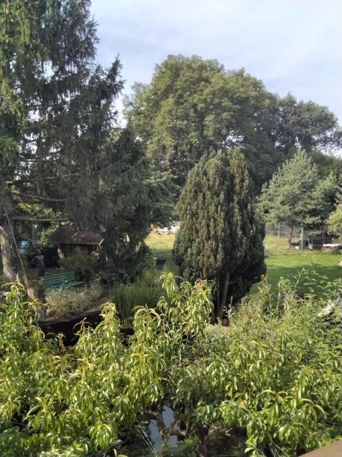 Pusteblume Apartment Groitzsch Екстериор снимка